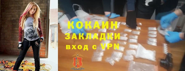 mdpv Богородицк