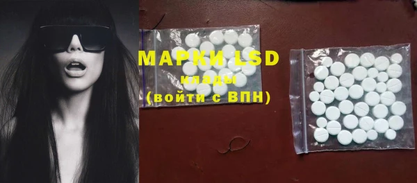 mdpv Богородицк