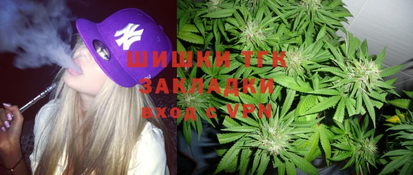 mdpv Богородицк