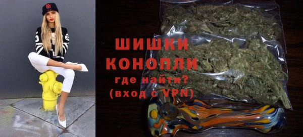 PSILOCYBIN Богданович