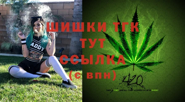 PSILOCYBIN Богданович