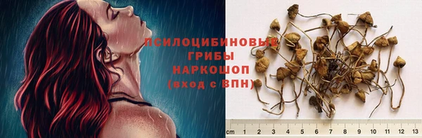 PSILOCYBIN Богданович