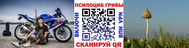 как найти закладки  Новоульяновск  Галлюциногенные грибы Magic Shrooms 